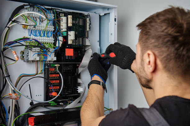 Licensed Electrical Panel Upgrade service in Lamont, MI - No Joke electrician